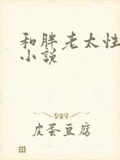 和胖老太性经历小说