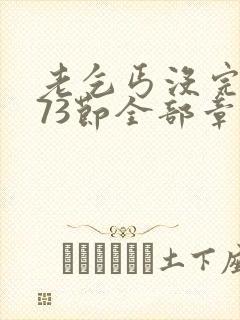 老乞丐没完没了73节全部章节内容