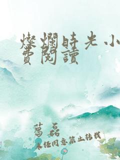 灿烂时光小说免费阅读