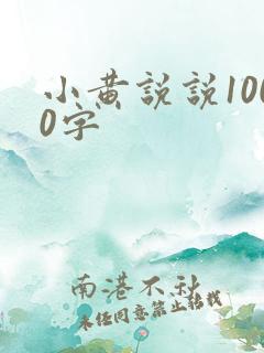 小黄说说1000字