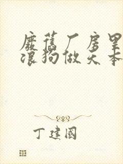 废旧厂房里和流浪狗做天本