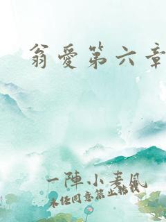 翁爱第六章