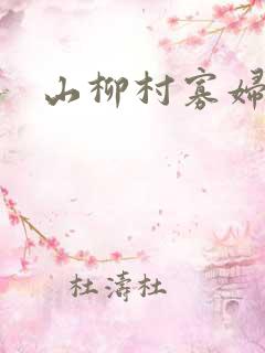 山柳村寡妇情史