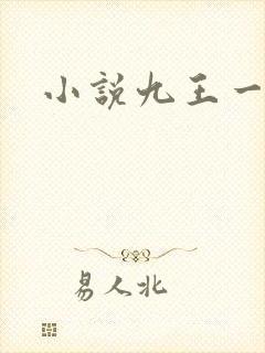 小说九王一后