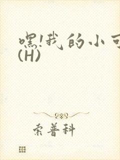 嘿!我的小可爱(H)