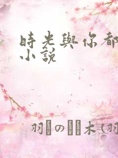 时光与你都很甜小说