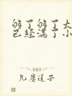 够了够了太多了已经满了小说