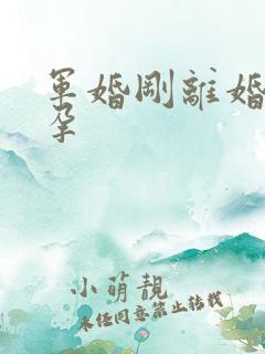 军婚刚离婚就怀孕