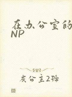 在办公室的椅子NP