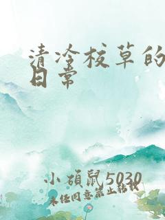 清冷校草的抹布日常
