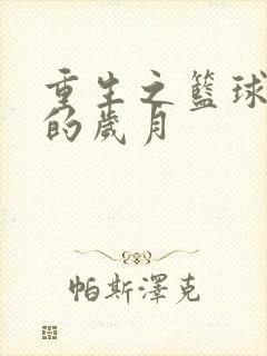 重生之篮球燃烧的岁月