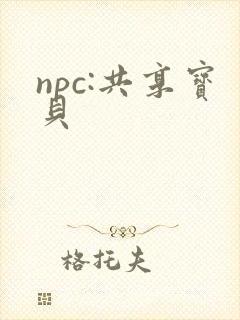 npc:共享宝贝