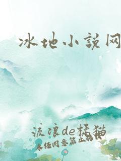 冰地小说网