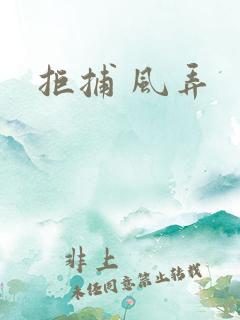 拒捕 风弄