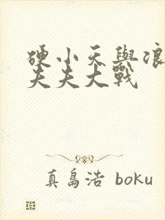 硬小天与浪小辉夫夫大战