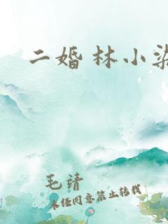 二婚 林小染