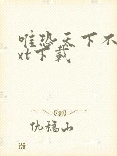 唯恐天下不乱txt下载