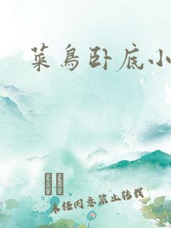 菜鸟卧底小正太