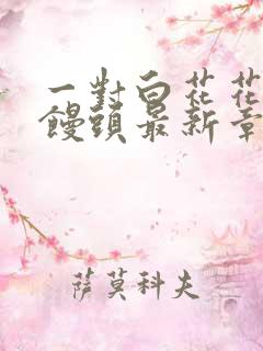 一对白花花的大馒头最新章节