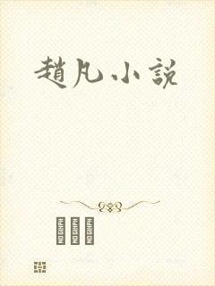 赵凡小说