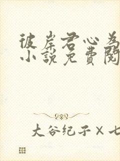 彼岸君心为我倾小说免费阅读