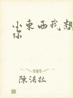 小东西我想弄坏你