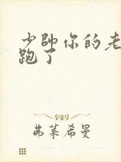 少帅你的老婆又跑了