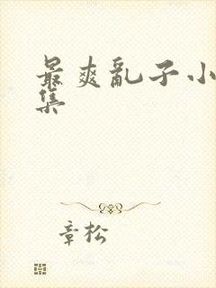 最爽乱子小说合集