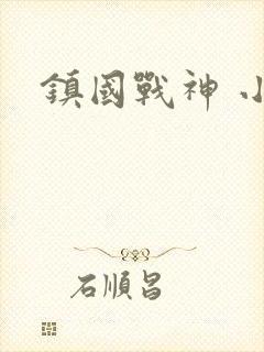 镇国战神 小说
