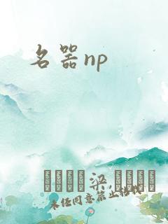 名器np
