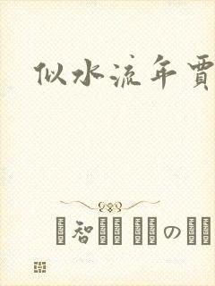 似水流年贾二虎