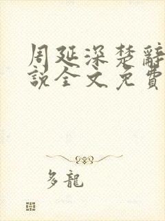 周延深楚辞的小说全文免费阅读