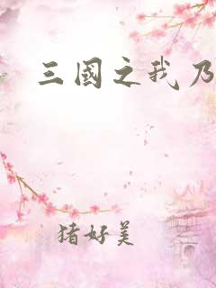 三国之我乃曹昂