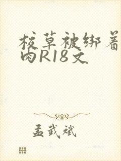 校草被绑着玩纯肉R18文