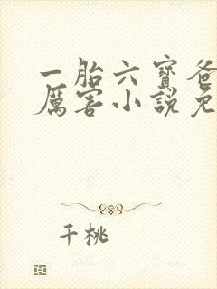 一胎六宝爸比好厉害小说免费阅读