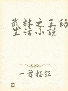 武林之王的退隐生活小说