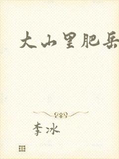 大山里肥岳小说