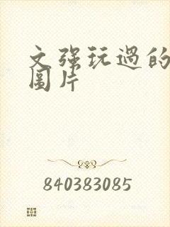 文强玩过的女人图片