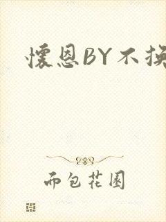 怀恩BY不换