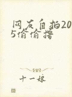 网友自拍2015偷偷撸