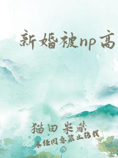 新婚被np高h
