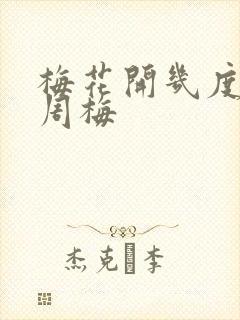 梅花开几度老张周梅