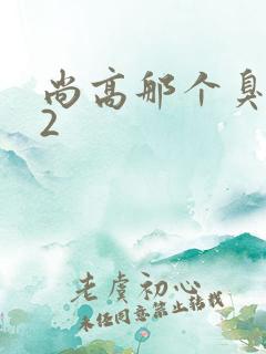 尚高那个臭小子2