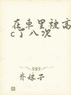 在车里被高潮被c了八次