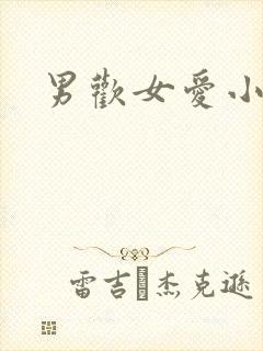 男欢女爱小说