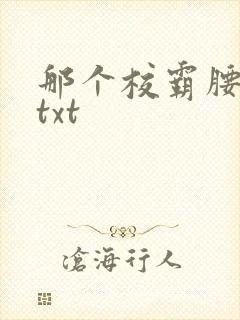 那个校霸腰好软txt