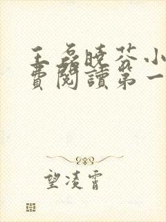 王磊晓芬小说免费阅读第一章