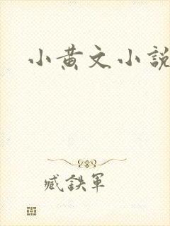 小黄文小说