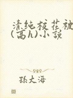 清纯校花被调教(高h)小说