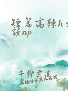 短篇高辣h文小说np